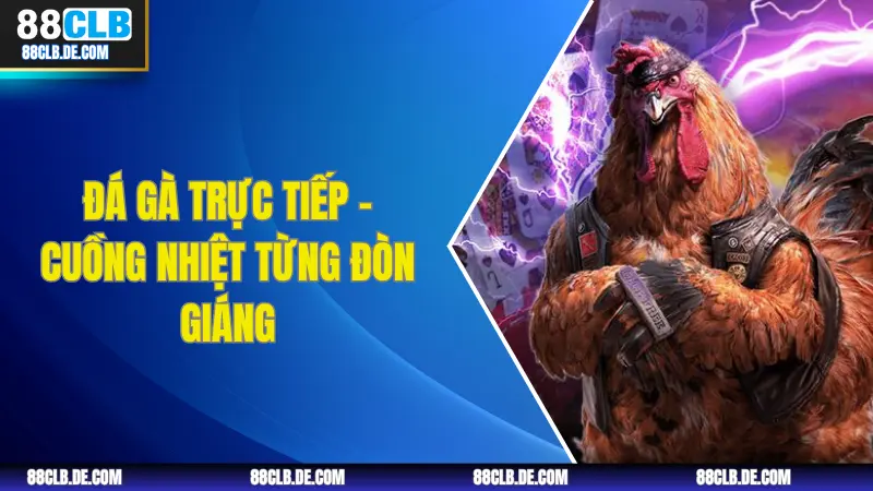 Đá gà trực tiếp – Cuồng nhiệt từng đòn giáng